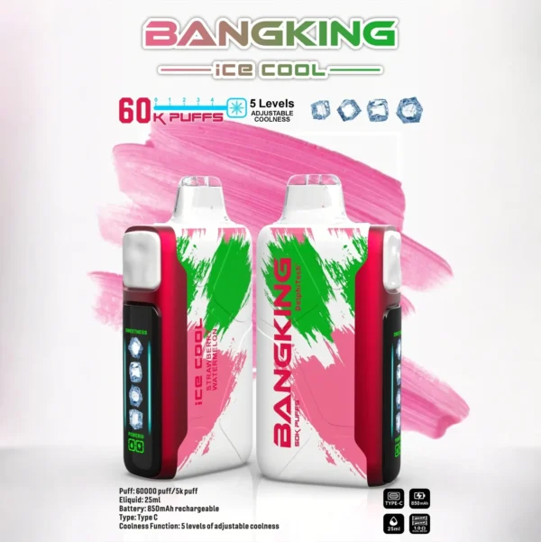 Bang King 60000 拋棄式電子煙｜LED 螢幕顯示 × 五檔冰度調節｜超長續航大容量・多款口味